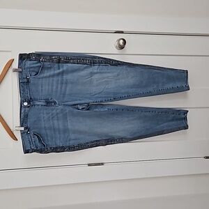 Lane Bryant Jeans